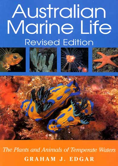 australia marine life
